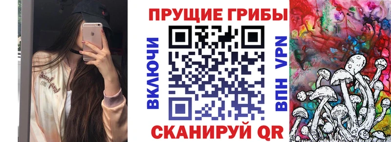 Псилоцибиновые грибы мицелий  Купить закладки  Славгород 